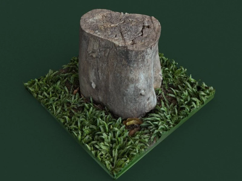 stump1 3D Model .c4d .max .obj .3ds .fbx .stl .blend 