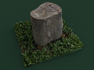 stump1 Modelo 3D