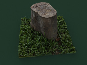 stump1 Modelo 3D