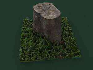 stump1 3D Model