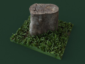 stump1 Modelo 3D