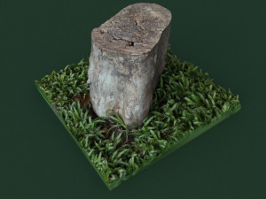 stump1 Modelo 3D