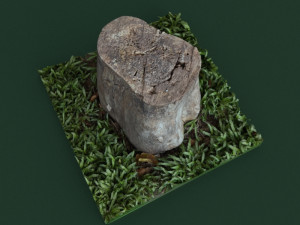 stump1 Modelo 3D