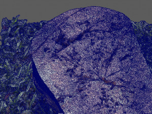 stump1 Modelo 3D