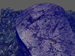 stump1 3D Model