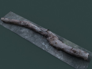 twigs1 3D 모델