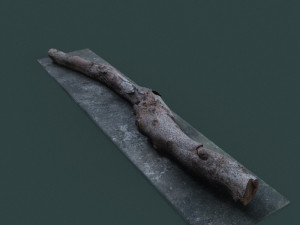twigs1 3D 模型