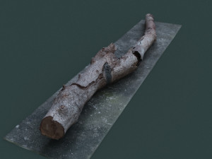 twigs1 3D 模型