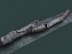 twigs1 3D 模型