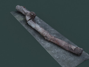 twigs1 3D 模型