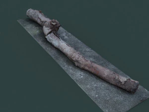 ramoscelli1 Modello 3D