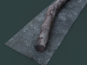 twigs1 3D 模型