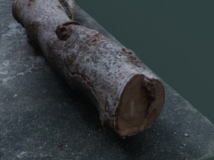 twigs1 3D 模型