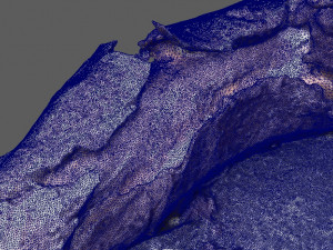 twigs1 3D 模型