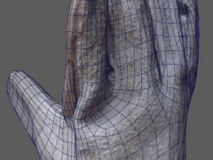 glove1 Modello 3D