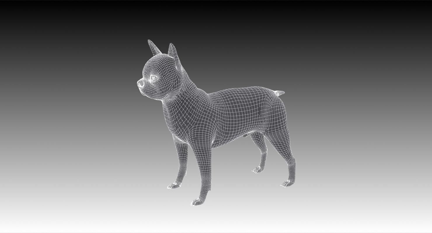 Boston Terrier Dog 3D Модель In Собака 3DExport