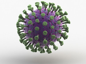 novel coronavirus 3D Model