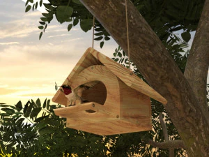 Bird House in Forest 3D Model