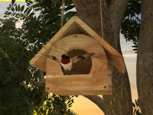 Bird House in Forest Modèle 3D