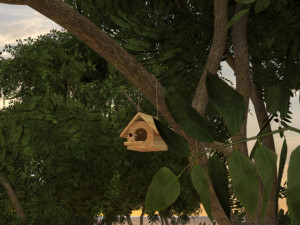 Bird House in Forest Modèle 3D