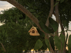 Bird House in Forest 3D Model