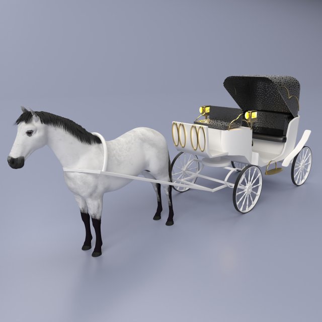 Coach 4K 3D 模型 .c4d .max .obj .3ds .fbx .stl .blend 