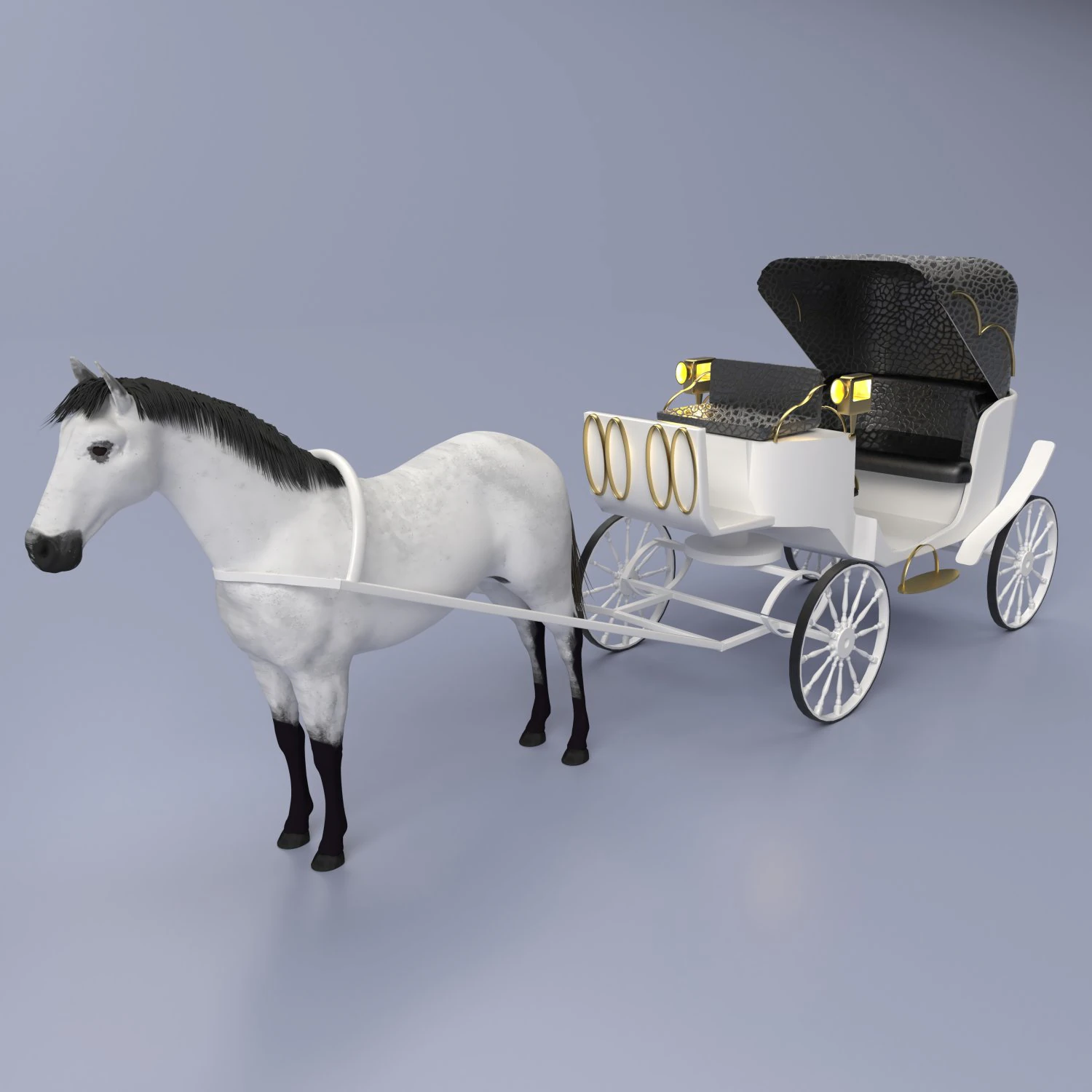 Coach 4K 3D Model .c4d .max .obj .3ds .fbx .stl .blend 