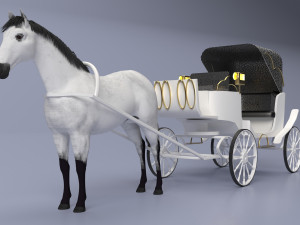 Coach 4K 3D 模型