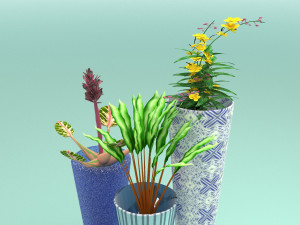 Flower Pots Model 3D