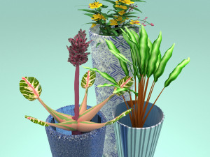 Flower Pots Model 3D