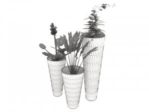 Flower Pots Model 3D