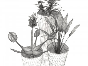 Flower Pots Model 3D