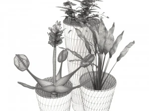 Flower Pots 3D Model