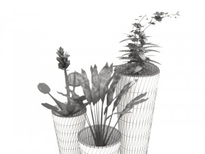 Flower Pots Model 3D