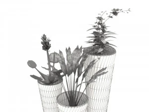 Flower Pots 3D Model