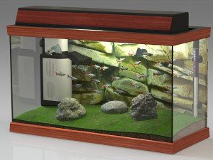 Aquarium 4K 3D Model