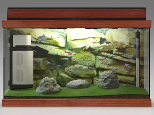 Aquarium 4K 3D-Modell