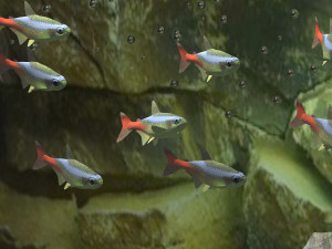Aquarium 4K 3D-Modell