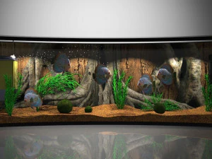 Panoramic Aqua Tank 3D Model