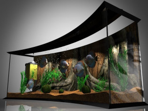 Panoramic Aqua Tank 3D-Modell