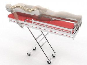 Human Spine and Implant Modèle 3D