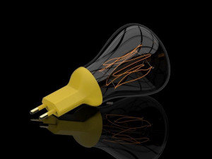 Rustic Plug Bulb 3D Model