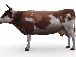 Cow 3D Model