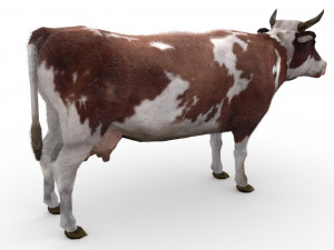 Cow 3D Model