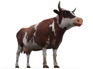 Cow 3D Model