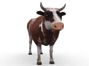 Cow 3D Model