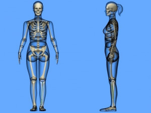 Tibial Intramedullary Nail Modèle 3D