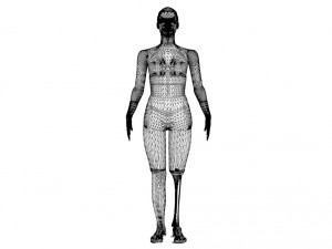 Tibial Intramedullary Nail Modèle 3D