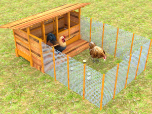 Chicken Coop 3D Model