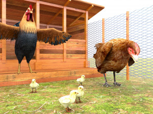Chicken Coop 3D Model